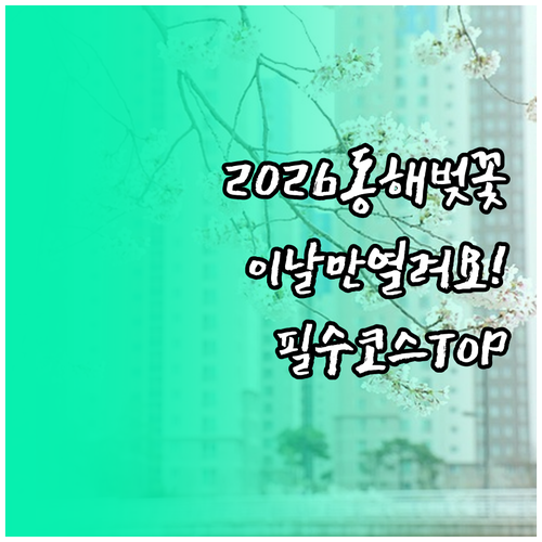 2026 동해시 벚꽃 개화 시기와 주..
