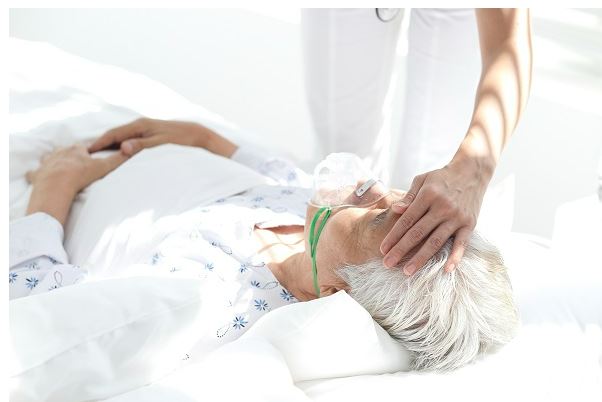 간병인-보험-추천