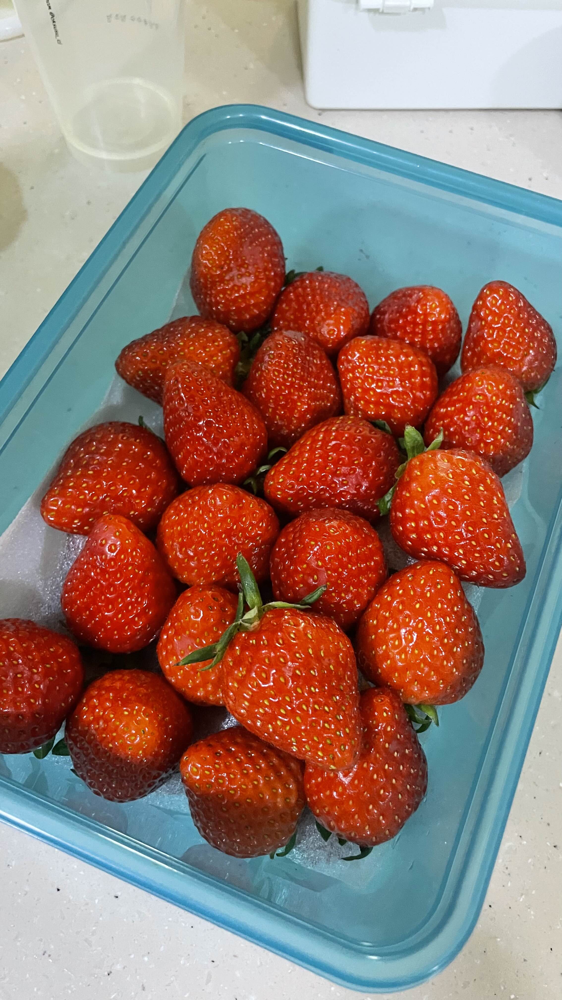 딸기 냉장고 보관 꿀팁