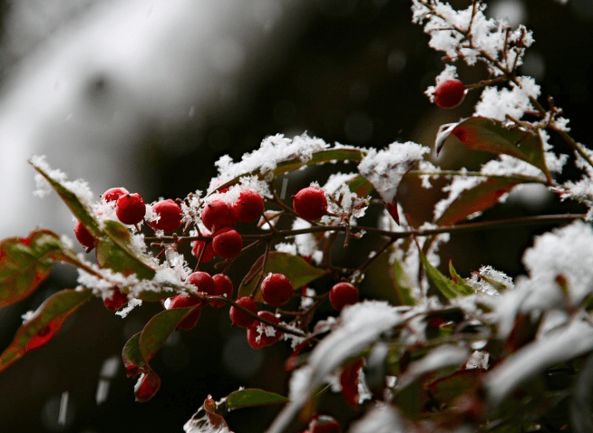 겨울 해외 여행 추천