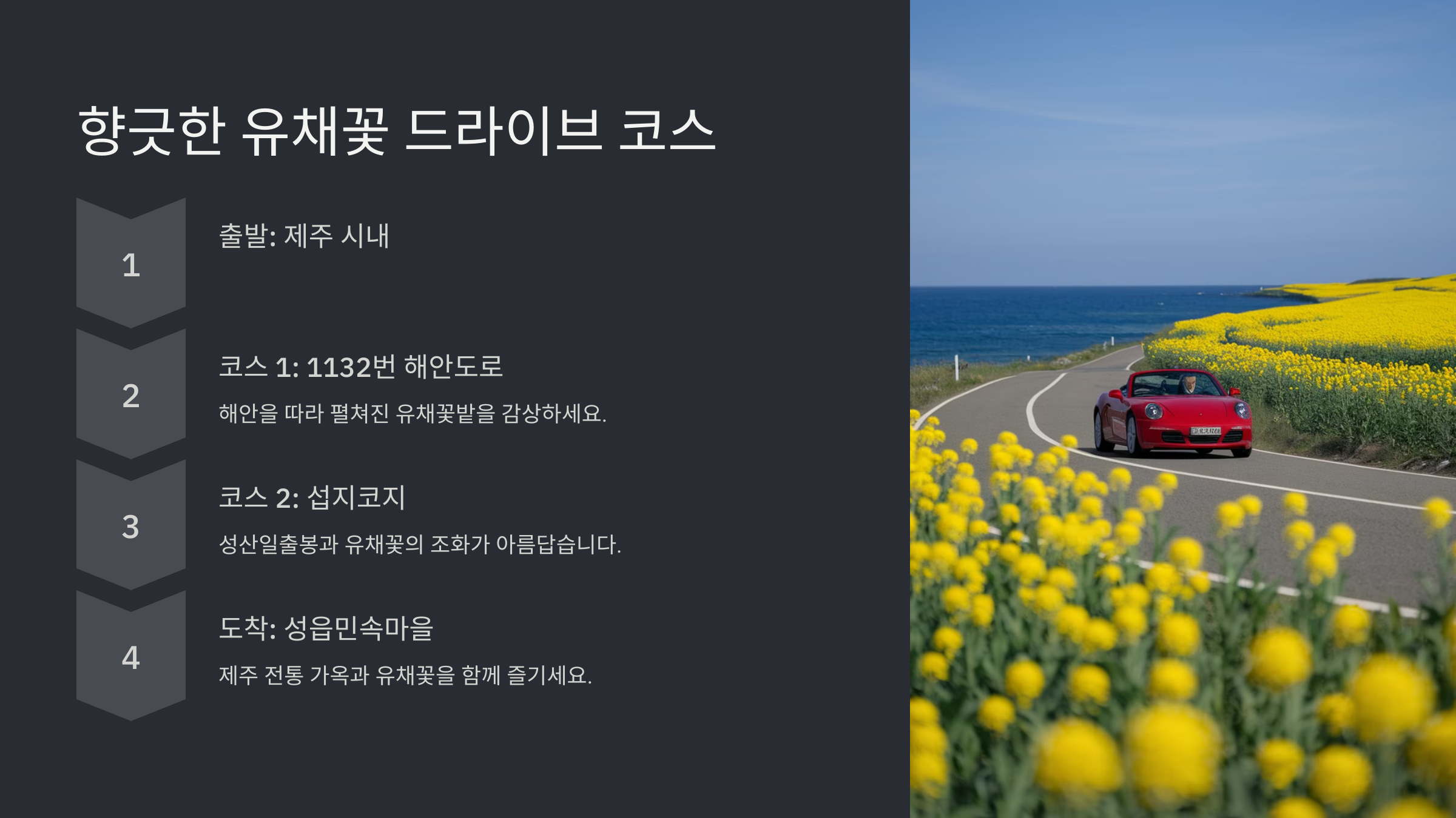 제주 유채꽃 피는 시기와 명소