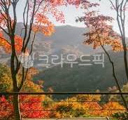 화담숲 예약하기