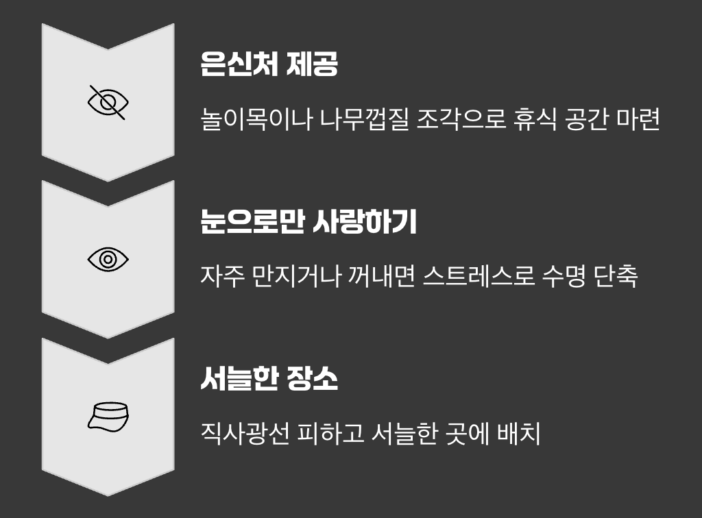 스트레스 없는 환경 만들어주기