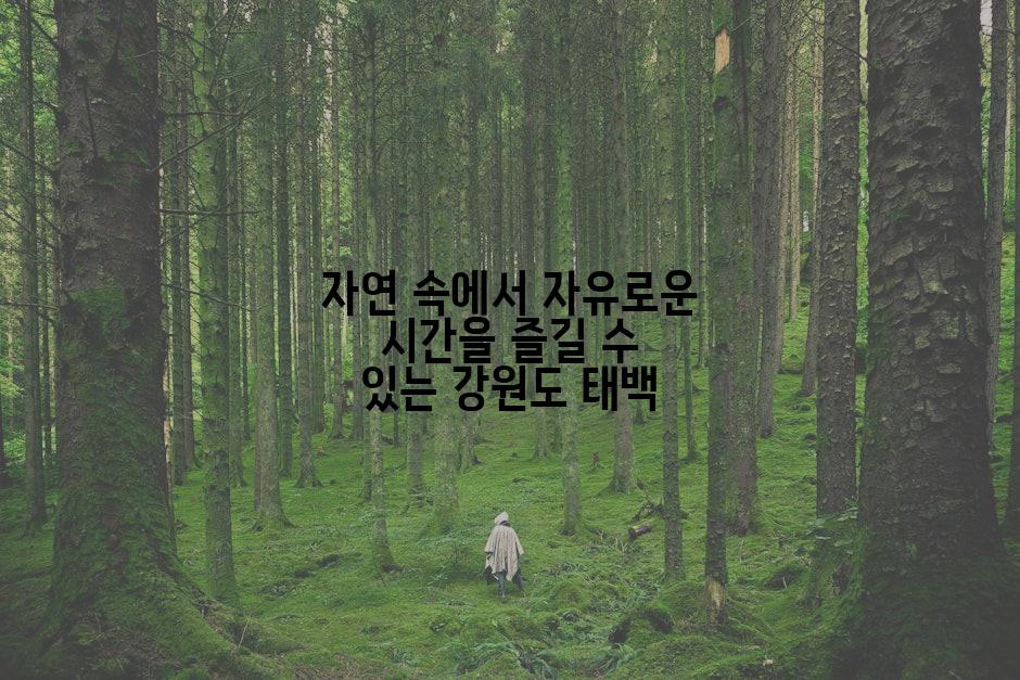 자연 속에서 자유로운 시간을 즐길 수 있는 강원도 태백