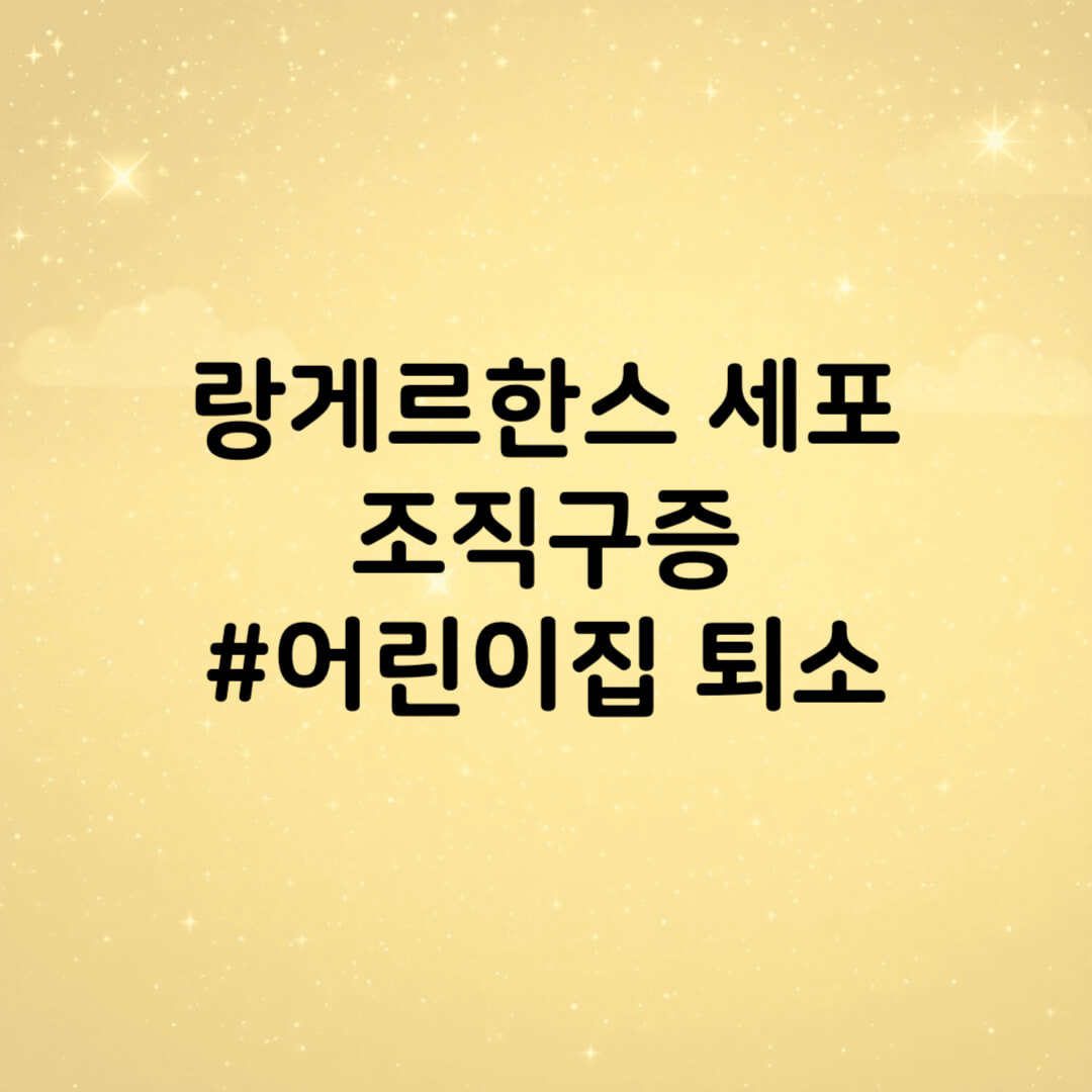 랑게르한스 어린이집 퇴소 썸네일