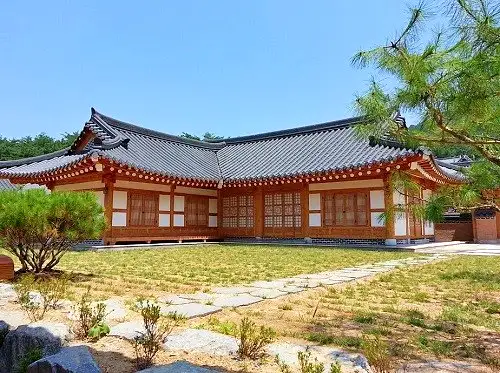 생방송오늘저녁 경남 밀양 딱따구리 사는 73년 한옥 고치며 사는 부부
