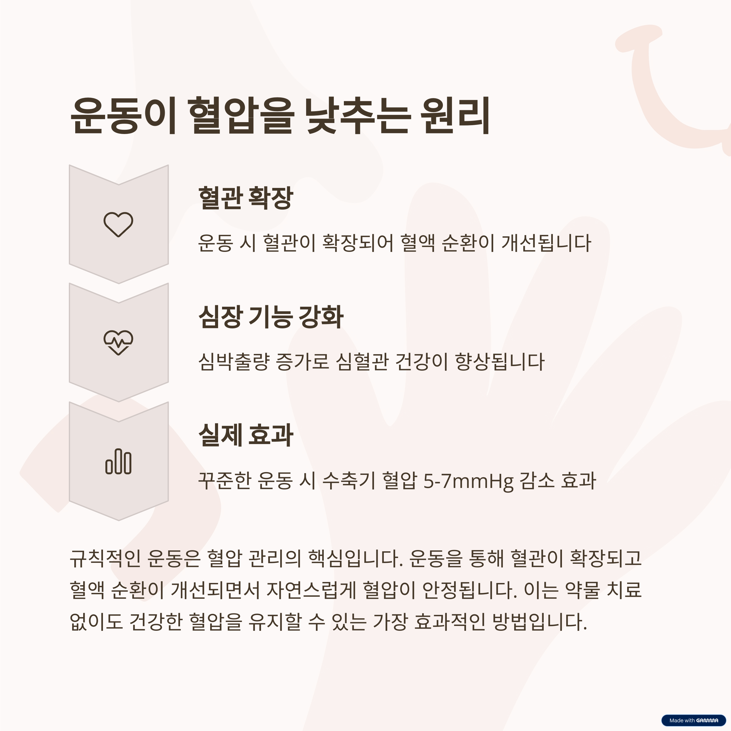 혈압과 운동의 관계: 왜 운동이 혈압 관리에 중요할까요?