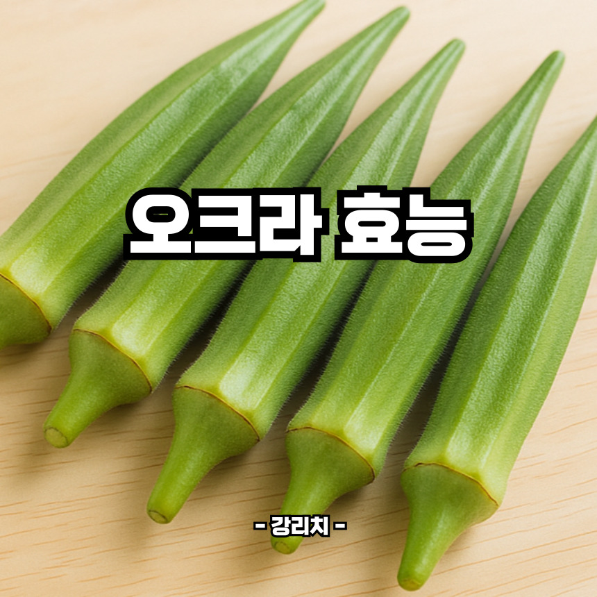 오크라 효능