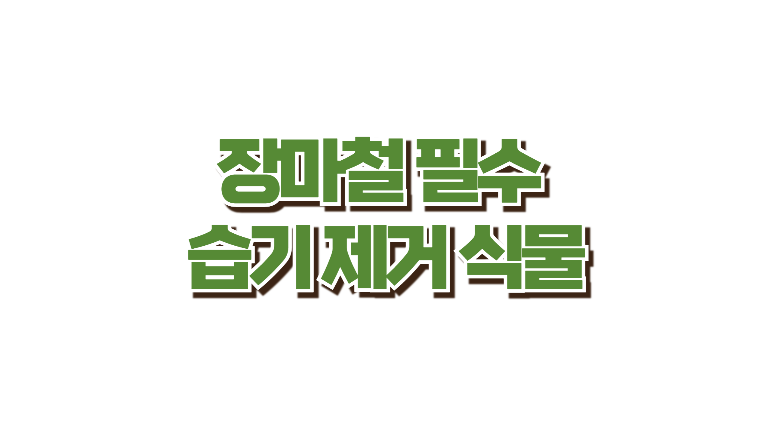 장마철 필수 습기 제거 식물 사진