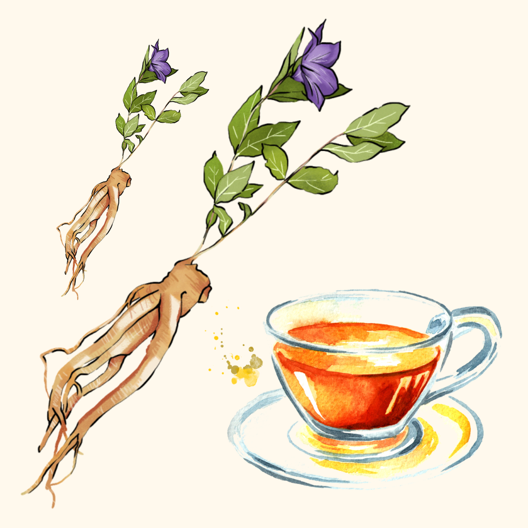 도라지차 효능 부작용