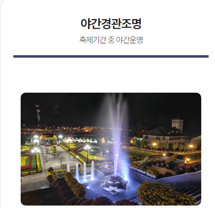  임실 N 축제 프로그램