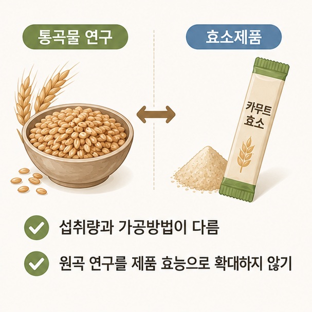 카무트 통곡물과 카무트 효소 분말을 비교해 원곡을 대상으로 한 연구 결과를 가공된 효소제품의 효능으로 그대로 적용하기 어렵다는 점을 보여 주는 그림