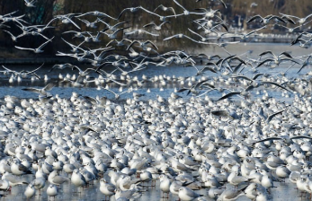 토지대장 무료열람 방법 11