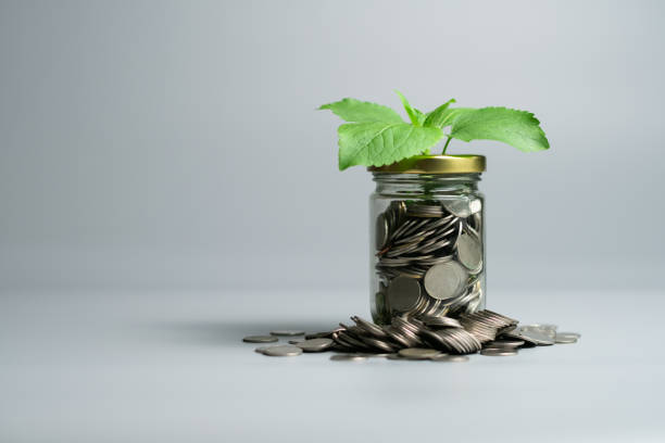 세입자가 월세 계약 후 입주하지 않으면 계약은 유효할까?