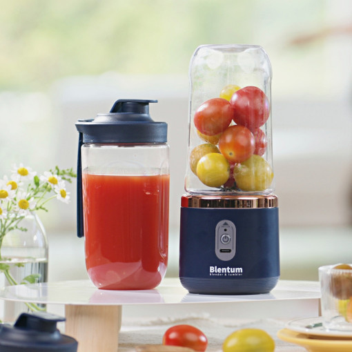 쇼킹 블랜덤 미니 블랜더 사용 후기