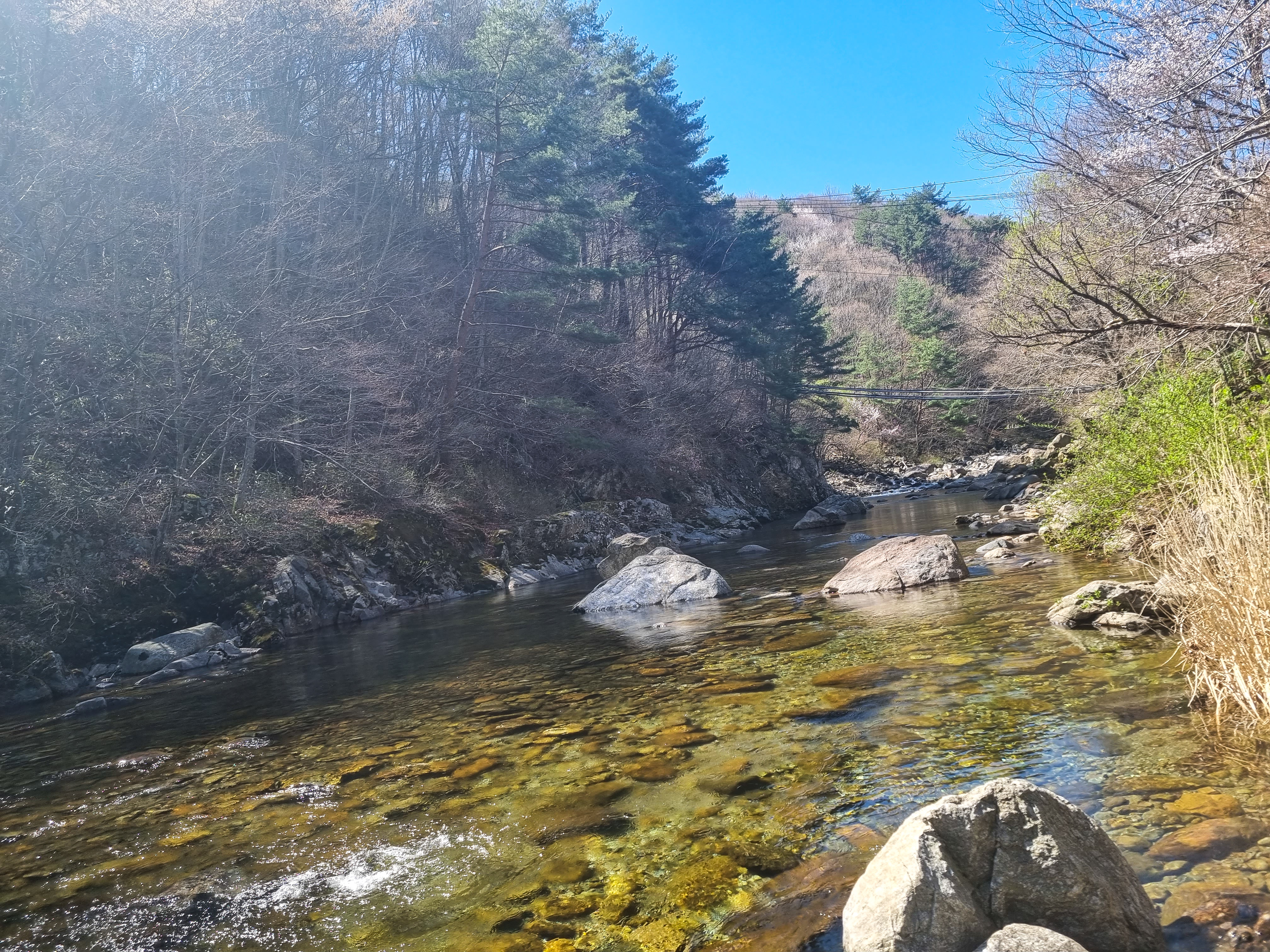 야영장 옆에 있는 계곡