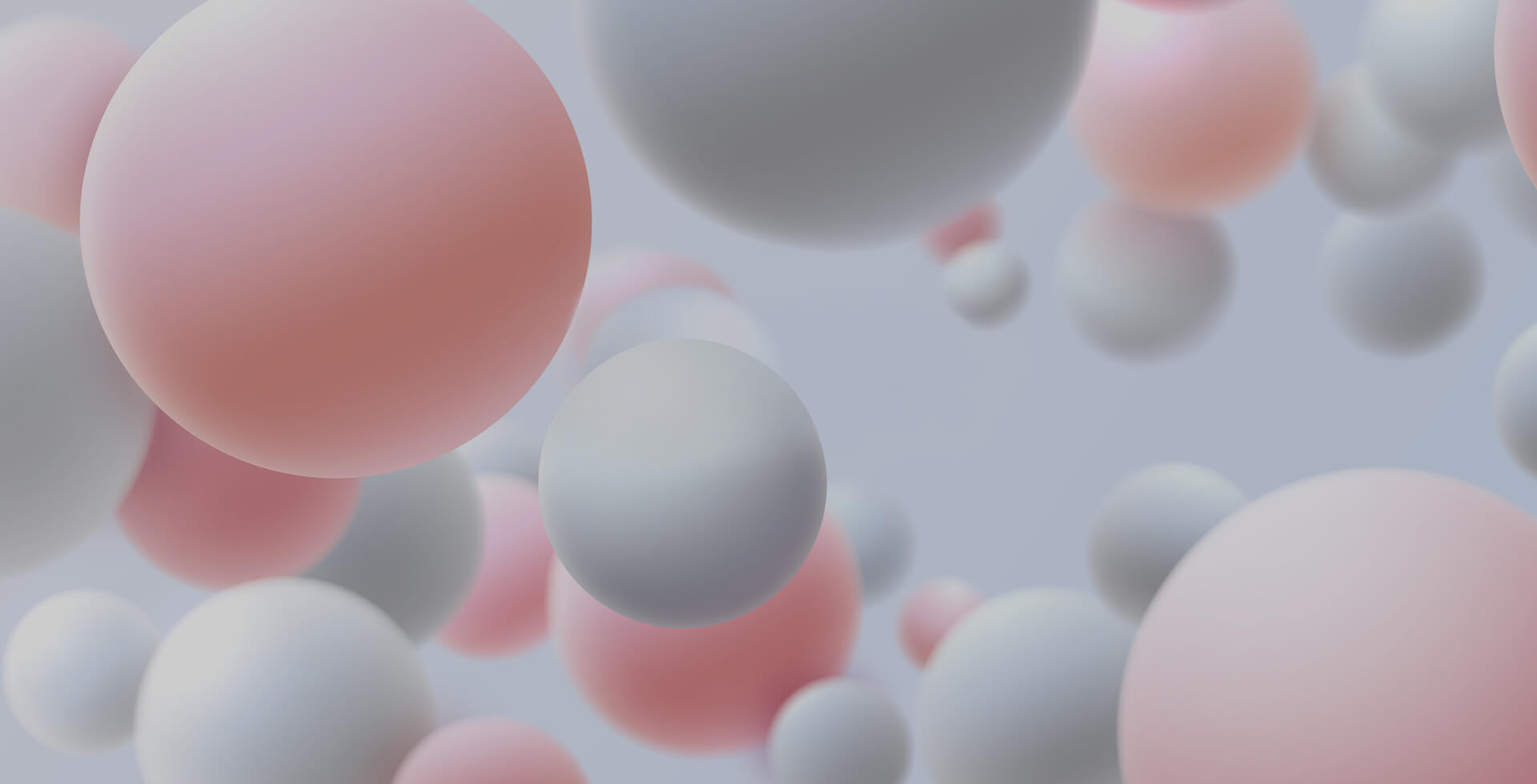 지투지바이오 공모 