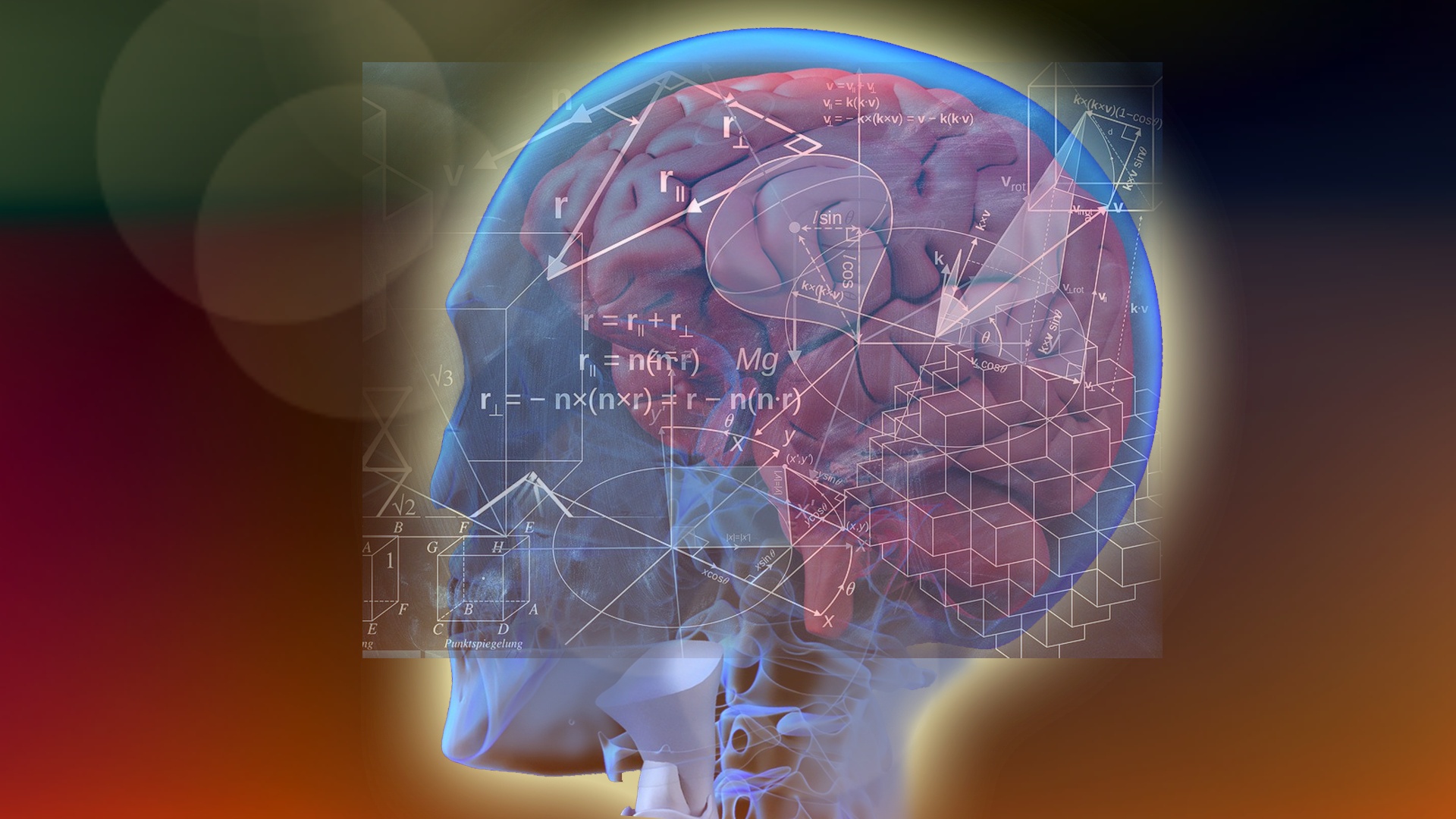 인간두뇌-정보-시각이미지