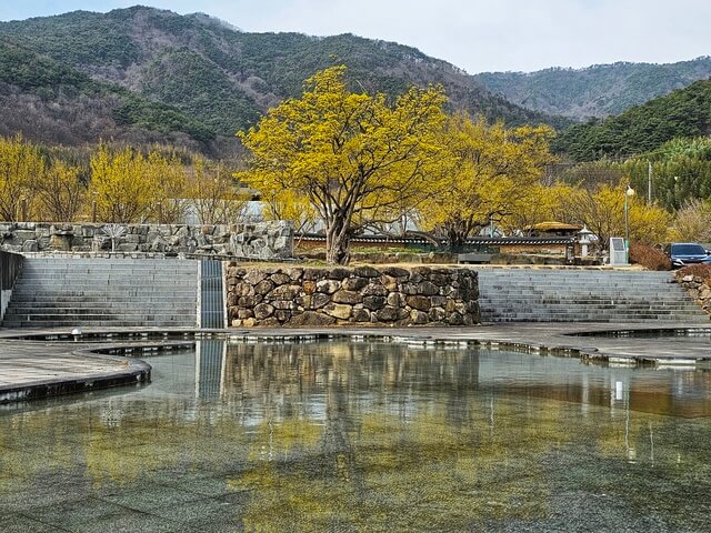 구례 산수유꽃 축제