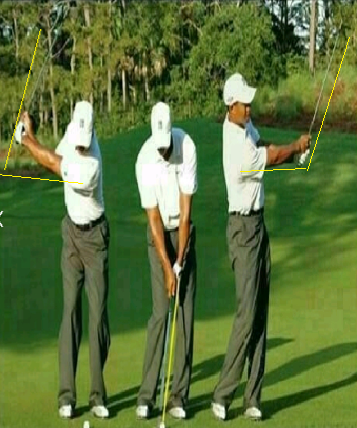 골프 하프스윙 사진