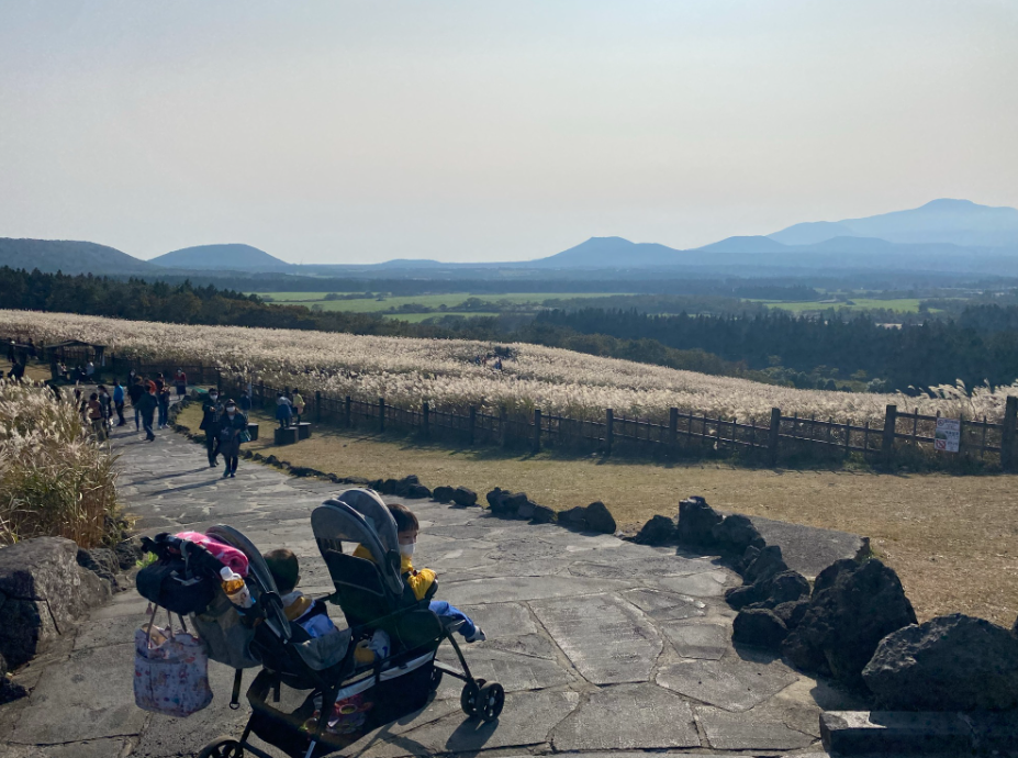 산굼부리 주변 자연경관