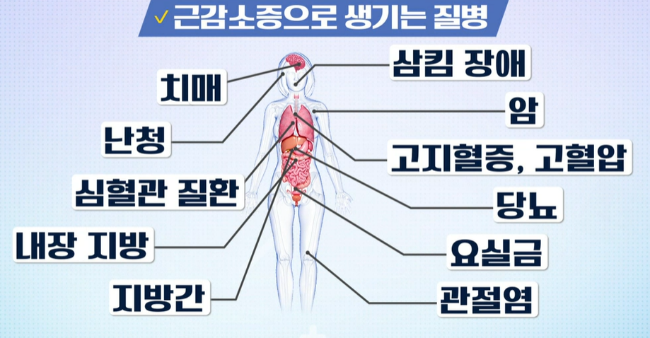산양유 단백질 효능