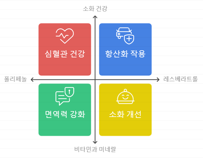 포도 와인 효능
