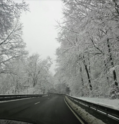 아침고요수목원 오색별빛정원전