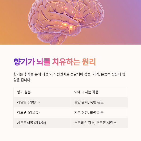 향기로 뇌를 치유하는 원리