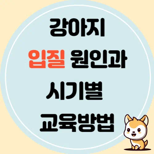 강아지 입질, 원인과 시기별 교육 방법