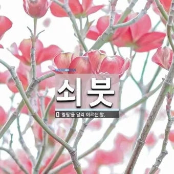 감정 다스림과 회복력 기르는 방법 동양 고전_24