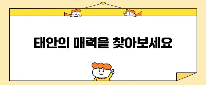 태안 필수 방문지 베스트 10입니다!