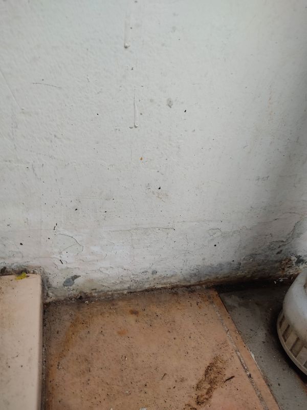 톡치면 으스러지는 벽며