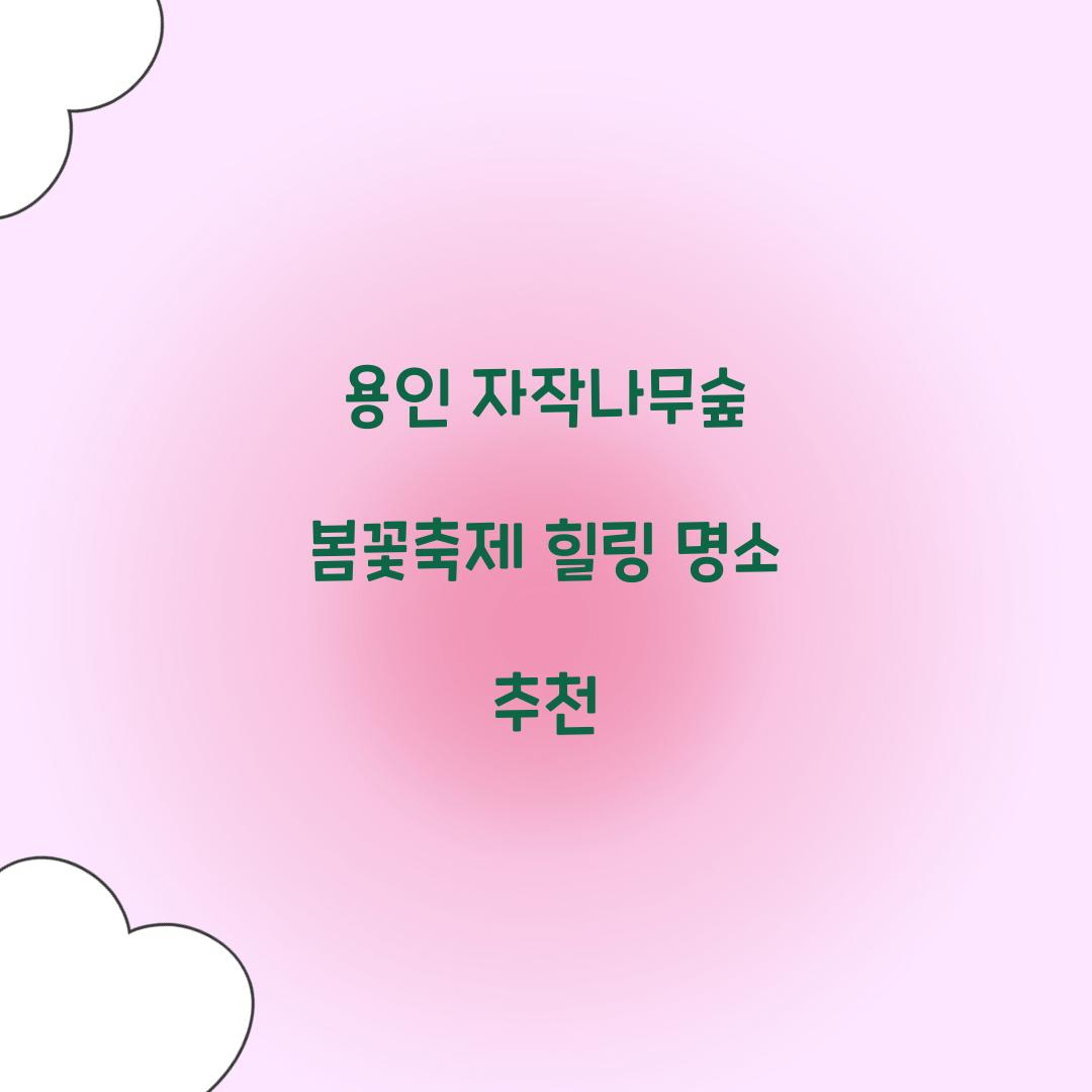 용인 자작나무숲 봄꽃축제