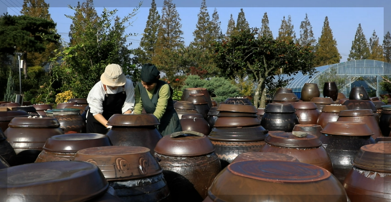 한국기행 해남두부장 이승희 명인 택배 주문방법
