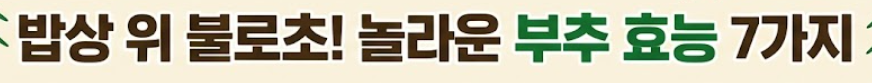 부추 효능