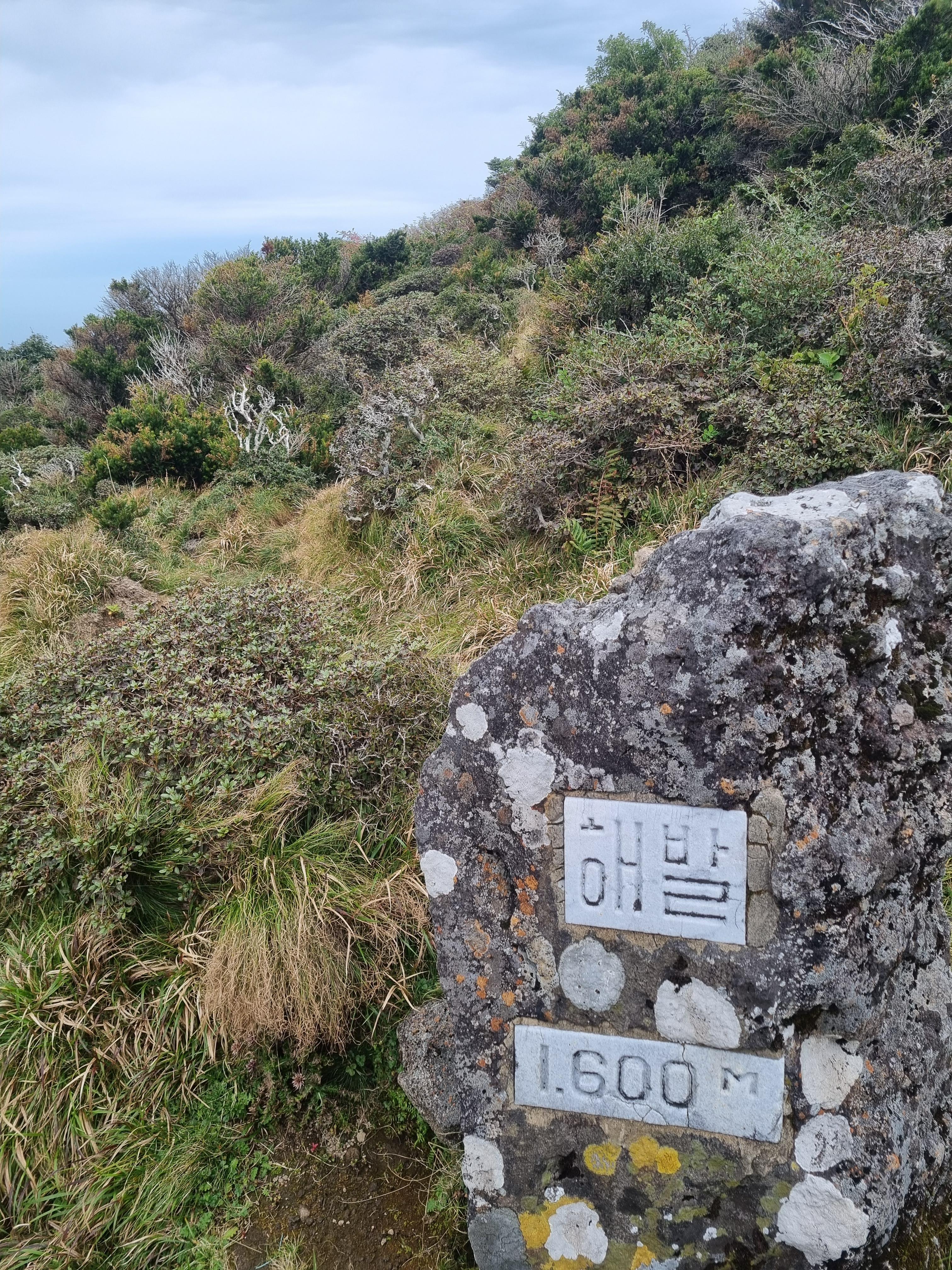 윗세오름 영실코스