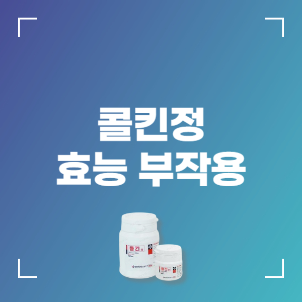 콜킨정 효능 부작용 복용법 장기복용