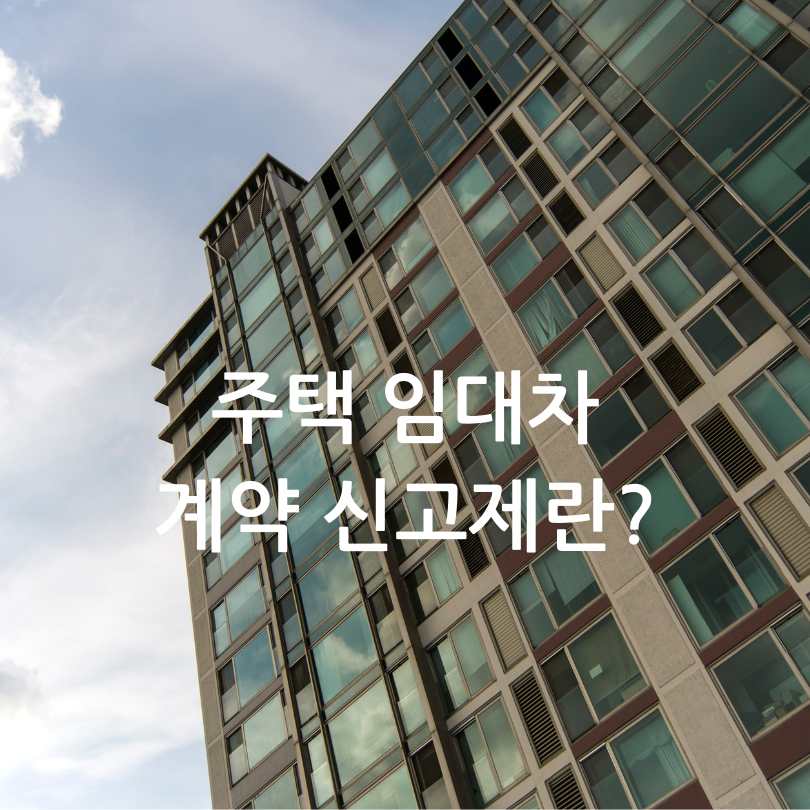 주택 임대차 계약 신고