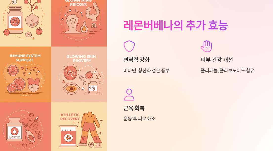 레몬버베나 효능 2