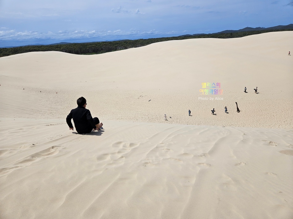 호주 시드니 사막 포트스테판 투어 솔직후기 가격 코스 야생 돌고래 크루즈