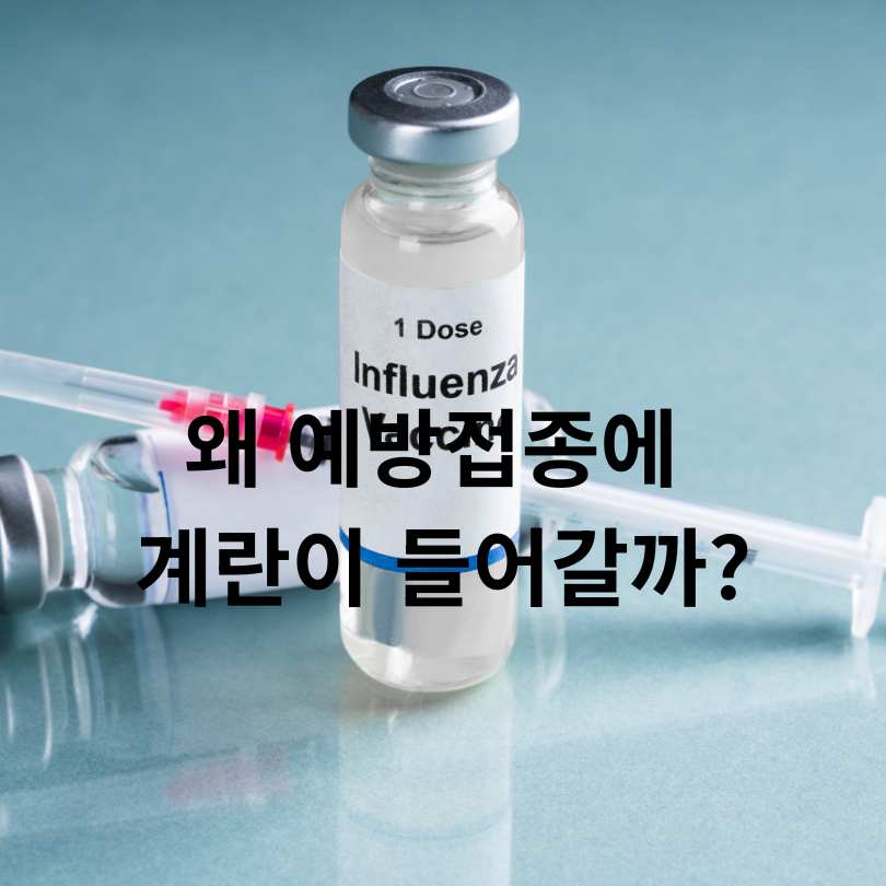계란 알러지 있는 아이&amp;#44; 예방접종 가능한가요?