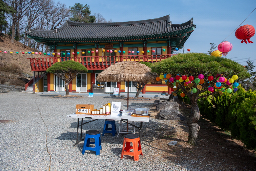 제26회 이천백사산수유꽃축제 일정 & 프로그램 안내/ 주차 안내