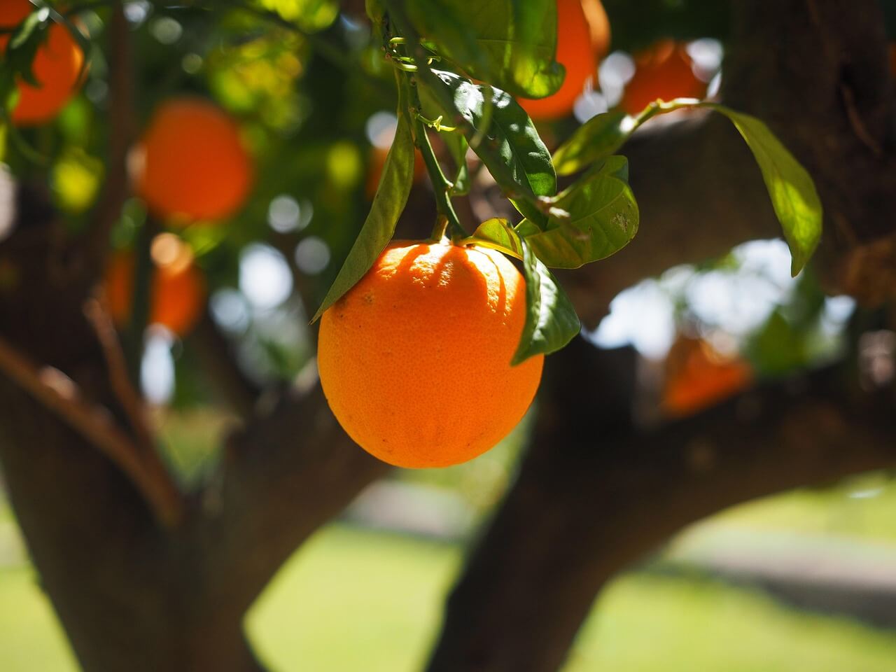 AI 대체하지 못하는직업 없어질직업 사라질직업 