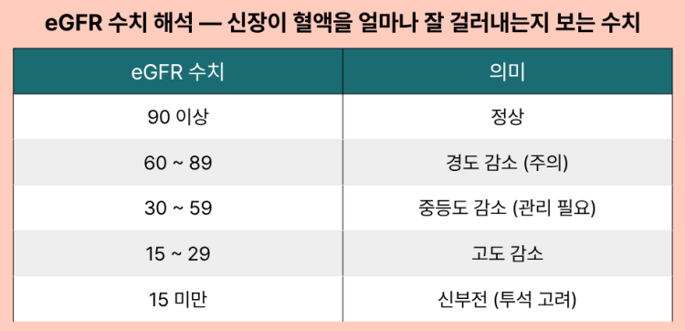 eGFR 수치 해석