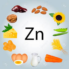 아연은 성장 촉진에 도움을 준다