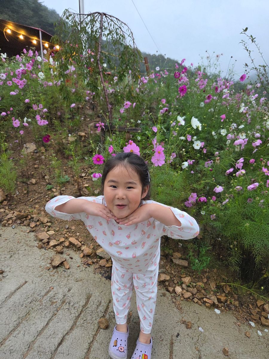 가을 캠핑장에 핀 코스모스