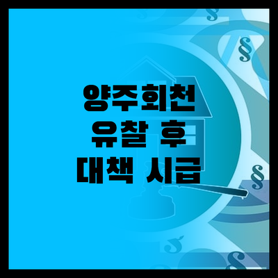 양주회천 복합용지, 유찰 그 후…LH