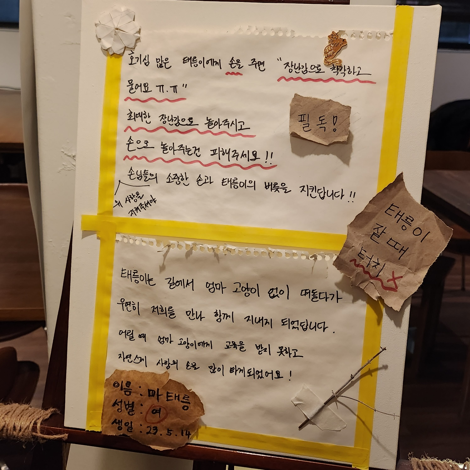태릉입구역 카페 마스트리스보트 고양이 있는 공릉 태릉 감성카페