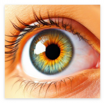 황반변성에 좋은 음식